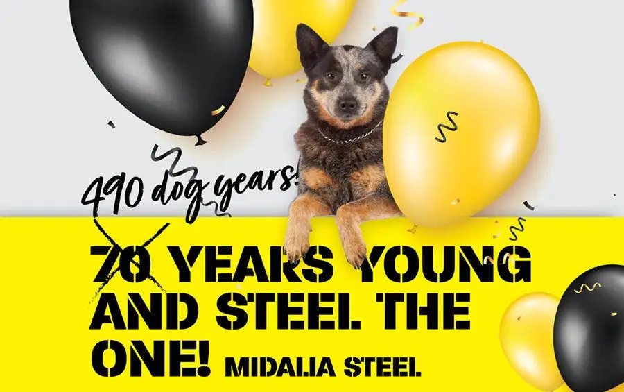 70 years young and steel the one, Midalia steel